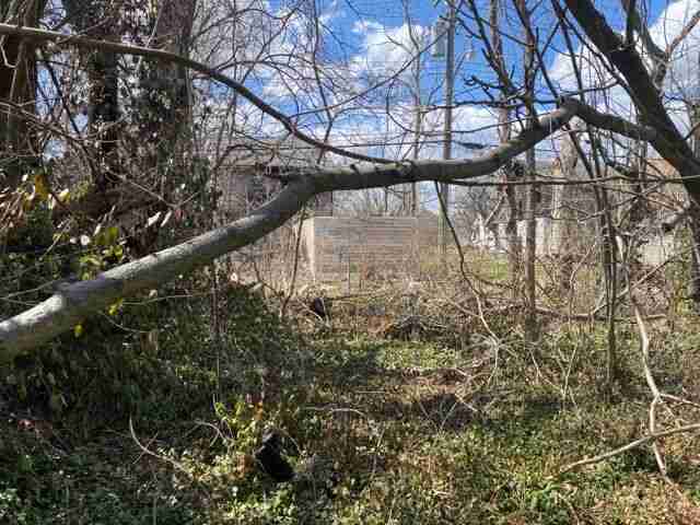 Testing again(6).jpg